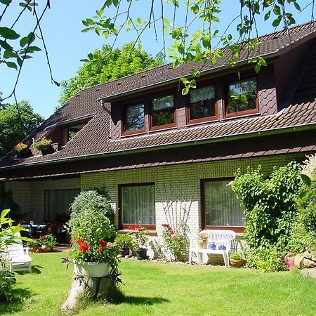 Ferienwohnung Haus Wiesengrund Bispingen Exterior foto